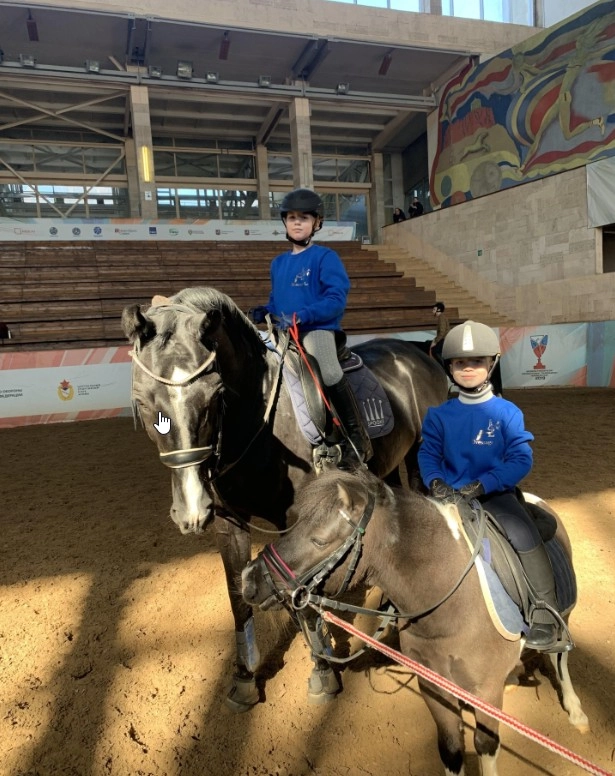 Школа верховой езды Dressage-land в Москве: Конный клуб, Ипподром, Конюшня, Скачки, Обучение,