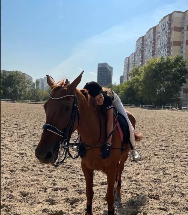 Школа верховой езды Dressage-land в Москве: Конный клуб, Ипподром, Конюшня, Скачки, Обучение,