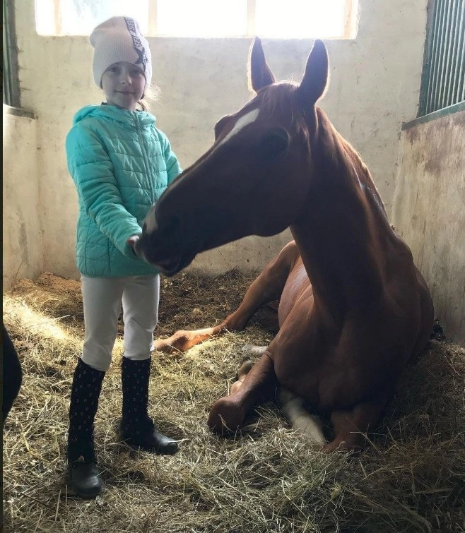 Школа верховой езды Dressage-land в Москве: Конный клуб, Ипподром, Конюшня, Скачки, Обучение,