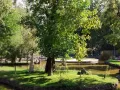 Миниатюра 7
