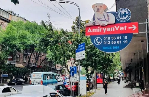 Ветеринарная клиника в Ереване AmiryanVet  в  Ереване