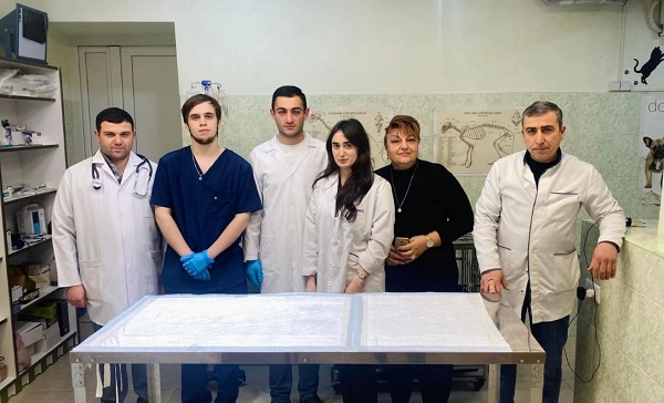 Ветеринарная клиника в Ереване AmiryanVet в Ереване: ветеринар, ереван, помощь, диагностика, специалисты, обследование, Клиника, Любимцы,