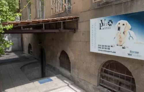 Ветеринар в Ереване Vetexpert Veterinary Group  в  Ереване