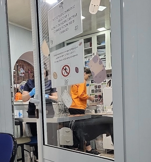 Ветеринар в Ереване Vetexpert Veterinary Group в Ереване: ветеринар, ереван, зоогостиница, зоотакси, Клиника, Любимцы,