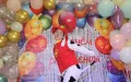Миниатюра 8