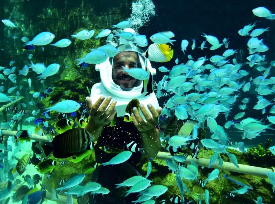 Дайвинг Boracay Aquanaut Helmet Diving в Боракай: Дайвинг, Рыбы, Вода,