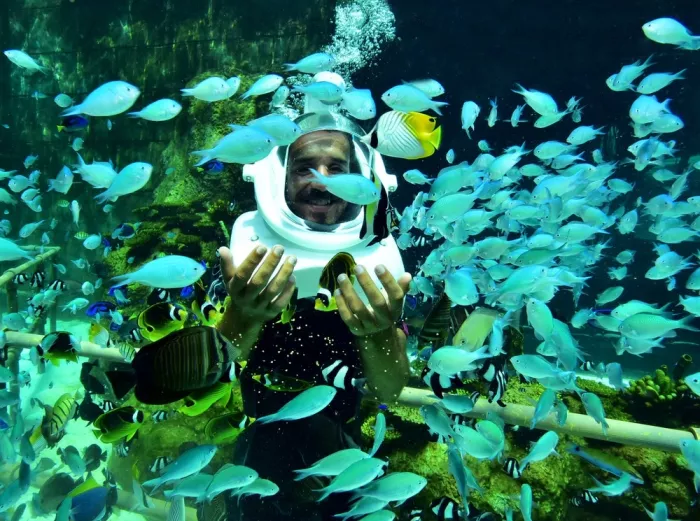 Дайвинг Boracay Aquanaut Helmet Diving  в  Боракай