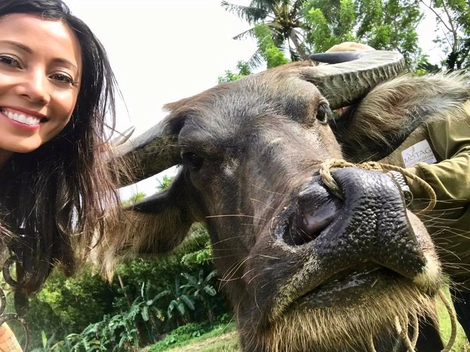 Музей «Motag Living Museum»