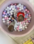Миниатюра 8