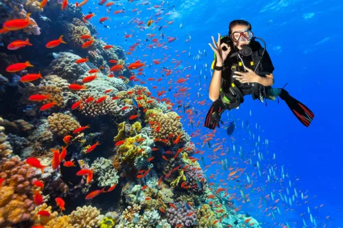 Дайвинг Boracay Scuba Diving  в  Боракай
