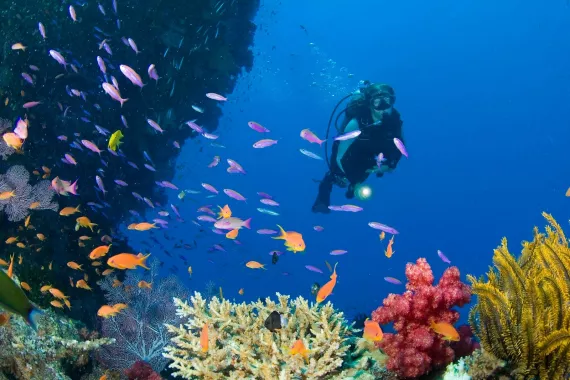 Дайвинг "Boracay Scuba Diving"
