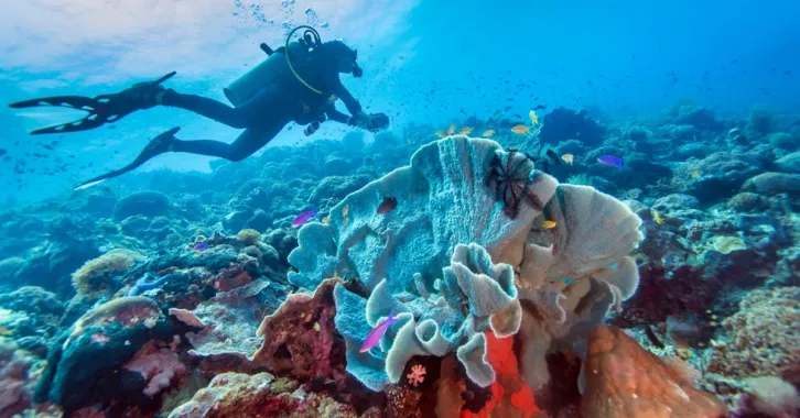 Дайвинг "Boracay Scuba Diving"