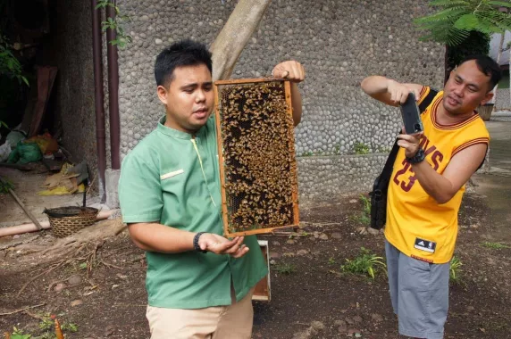 Отель «Bohol Bee Farm»
