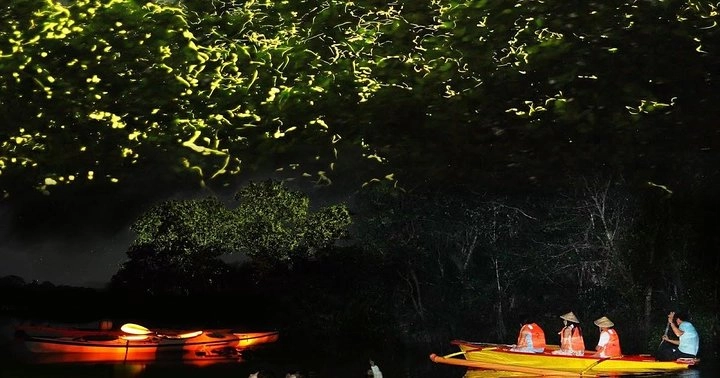 Ночной Круиз «Bohol Firefly Watching at Abatan River»