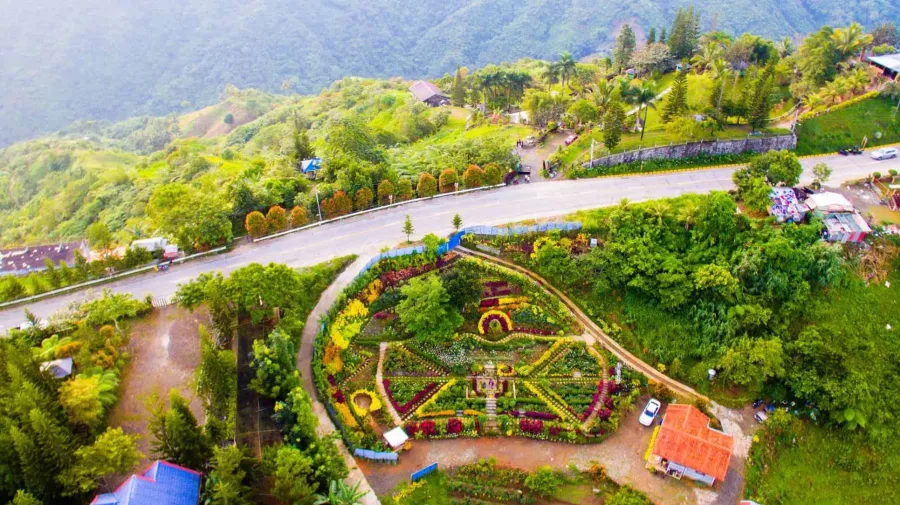 Сад Buwakan ni Alejandra в Себу: Сад, Цветы, Растения, Розы, Ботаника, Buwakan, Garden, Flowers,