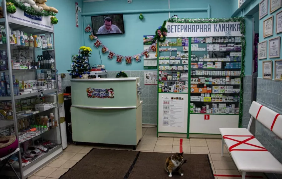 Ветеринарная клиника ВЕТЗАБОТА в Москве: Ветеринарная клиника, Ветеринарная аптека, Гостиница для животных, Груминг,