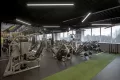 Миниатюра 14