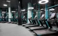 Миниатюра 15