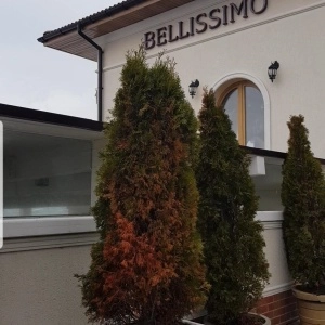 Ресторан Bellissimo в Новороссийске: Кафе, Ресторан, Еда,