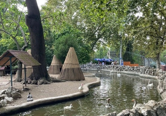 Белградский зоопарк в Белграде: Зоопарк, Путешествие, Чилим,