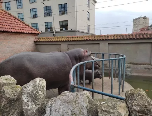 Белградский зоопарк
