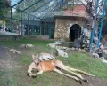 Миниатюра 7