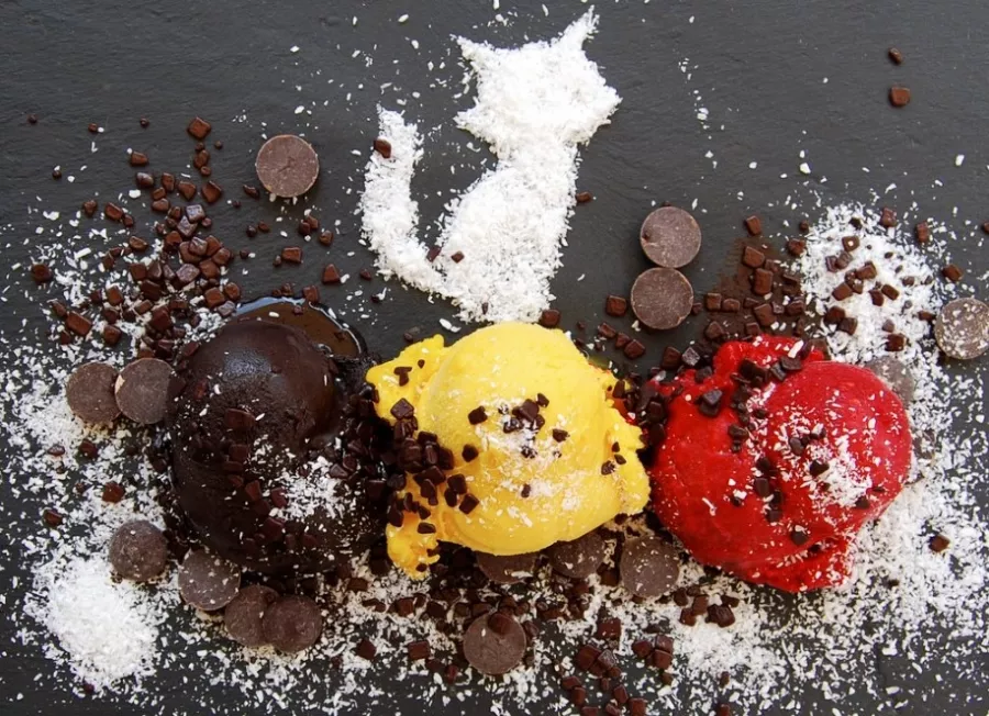 Icebox Frozen Yogurt & Ice Cream в Белграде: Мороженое, Вкусно, Чилим,