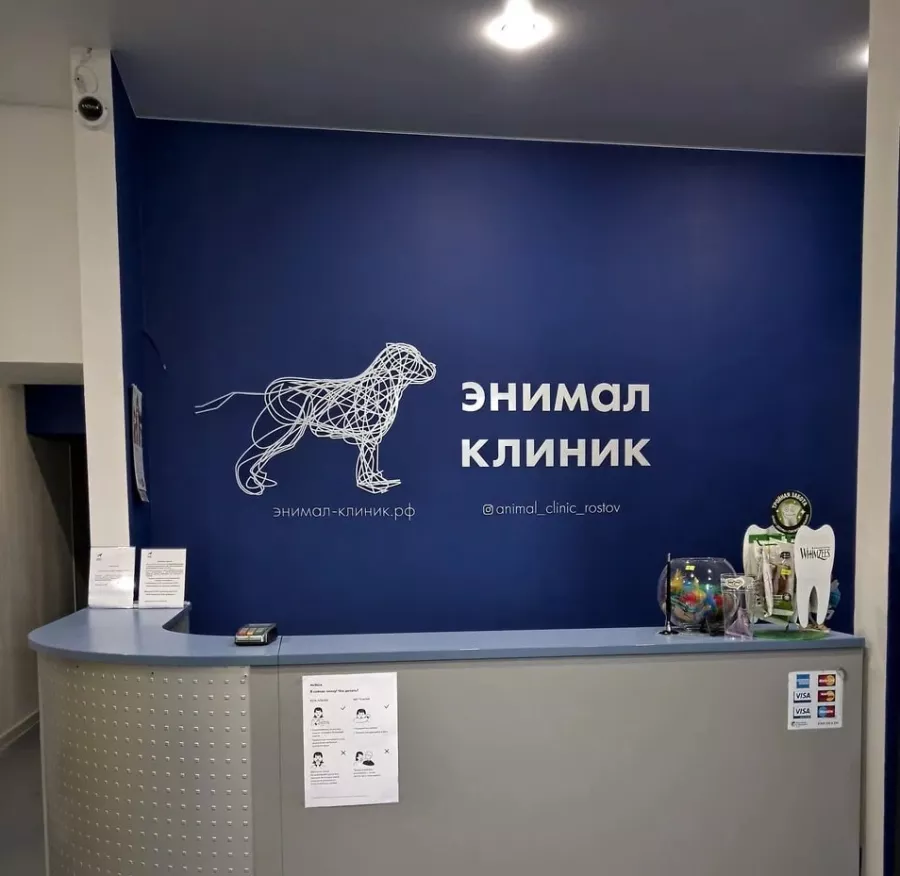 Ветеринарная клиника Энимал Клиник в Ростове-на-Дону: Ветеринар, Животные,