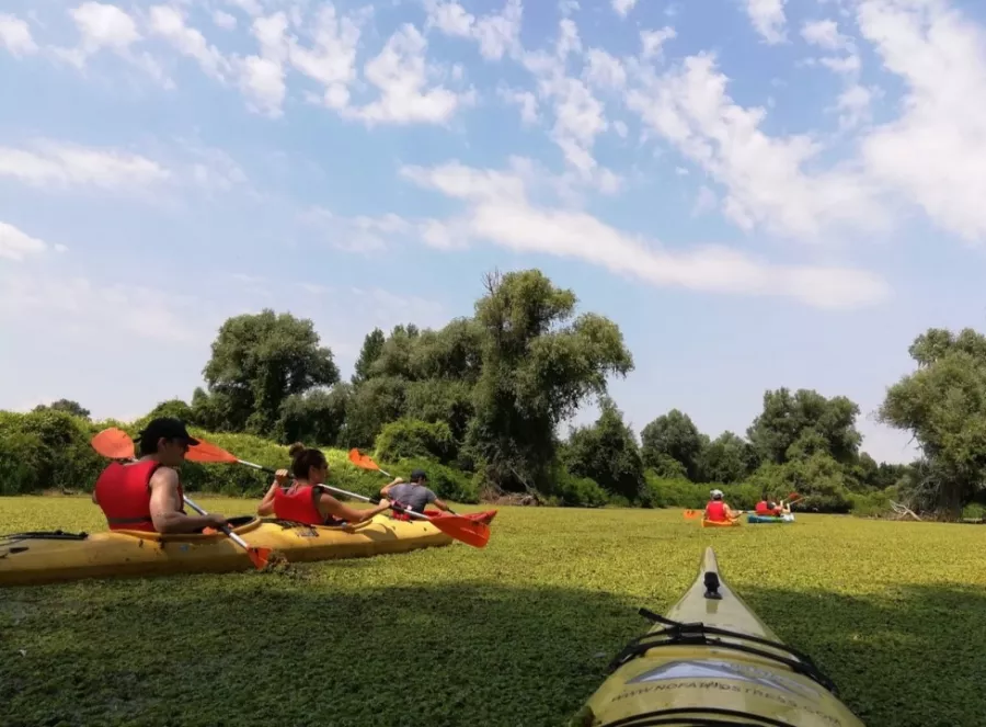 Belgrade Kayak Trip в Белграде: Чилим, Путешествие, Лодки, Поездка,