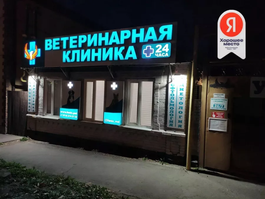 Ветеринарная клиника Ветеринарная клиника Феникс в Ростове-на-Дону: Ветеринарная клиника, Ветеринар, Любимцы,
