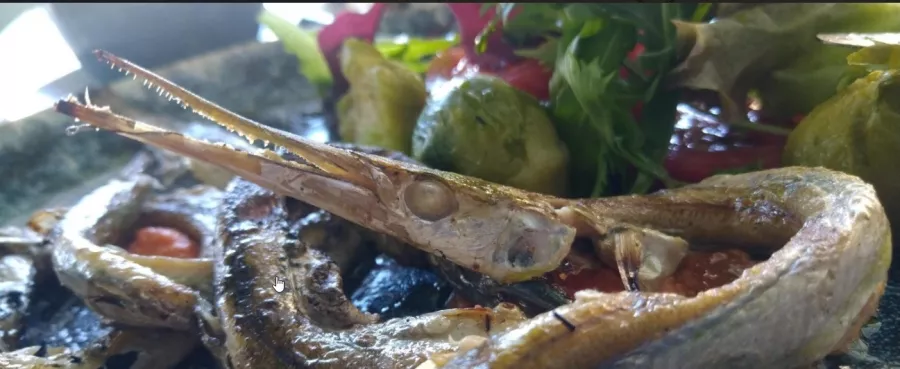 Ресторан Море в Анапе: Рыбное заведение, Итальянская кухня, Детское меню, Аниматоры, мастер-классы для детей, Шведский стол, Заказ навынос,