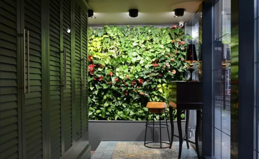 Ресторан-караоке Брынза в Анапе: Грузинская кухня, Кавказская кухня, Армянская кухня, Еда, Заказ навынос,