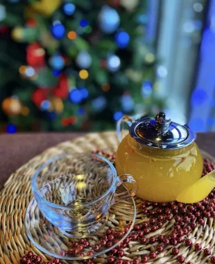Жюль Верн