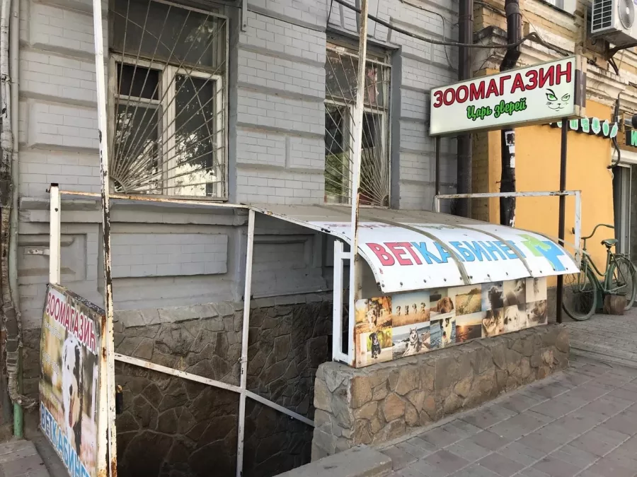 Ветеринарная клиника Царь зверей в Ростове-на-Дону: Ветеринарная клиника, Ветеринар, Любимцы,