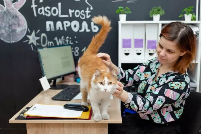 Вокал "Vocal Family"