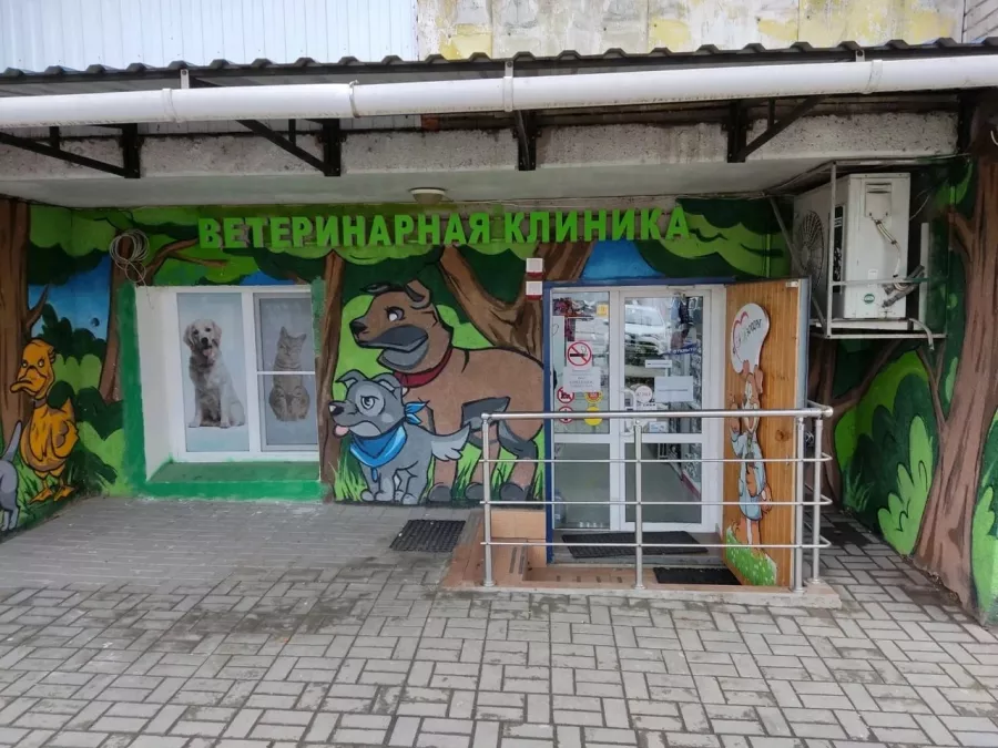 Ветеринарная клиника Зоодруг в Ростове-на-Дону: Ветеринар, Животные,