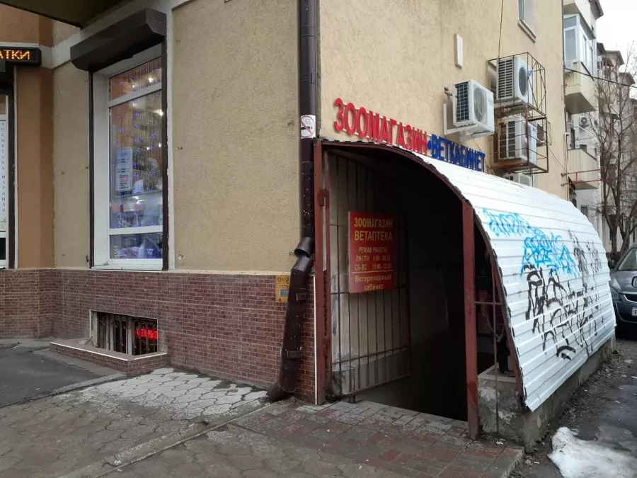 Ветеринарная клиника Ветеринарный кабинет в Ростове-на-Дону: Ветеринар, Животные,