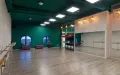 Миниатюра 17