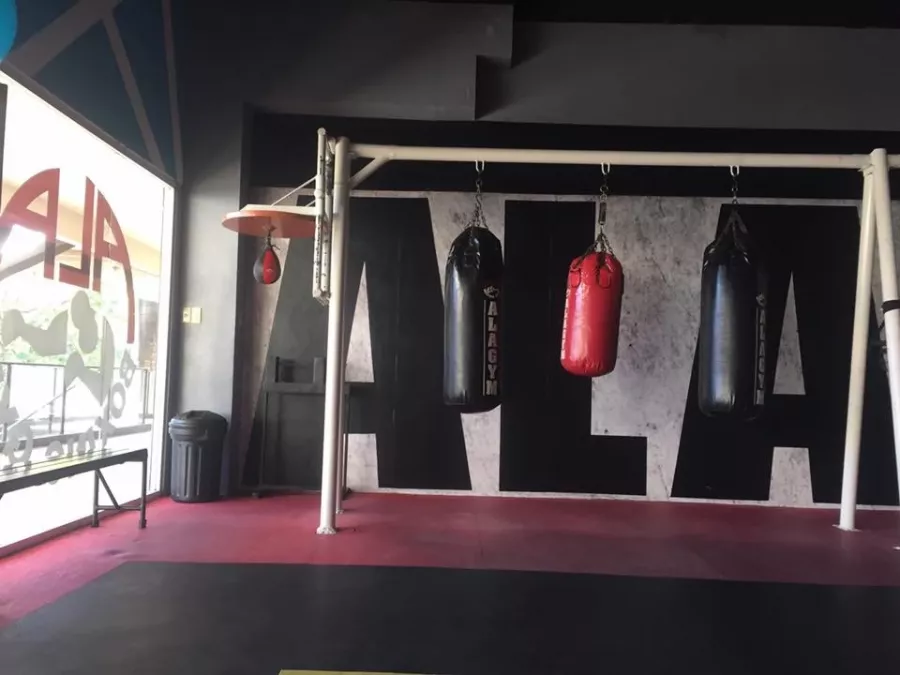 Фитнес-клуб Ala Boxing Gym Cebu в Себу: Фитнес-клуб, Бокс, Fitness, Box, Gym, Тренажёрный зал,