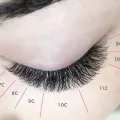 Миниатюра 9
