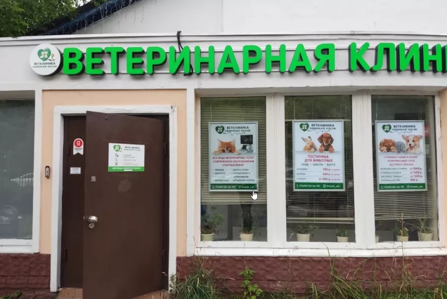 Ветеринарная клиника Любимый носик в Москве: Ветеринарная клиника, Гостиница для животных, Груминг, Круглосуточно,
