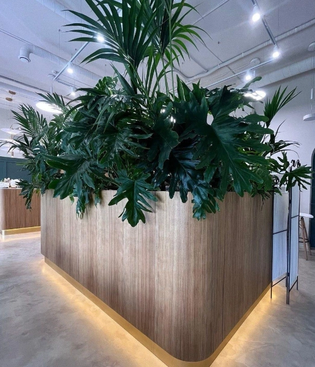 Салон красоты MangoMango в Калининграде: Мужчинам, Чистка, Пилинг, Детский маникюр, Лимфодренаж, Массаж, Стрижка, Окрашивание, Красота,