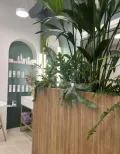 Миниатюра 7