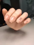 Миниатюра 10