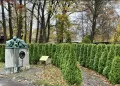 Миниатюра 12