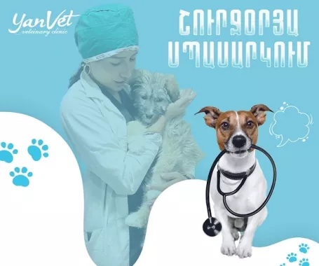 Ветеринарная клиника в Ереване "Yanvet".
