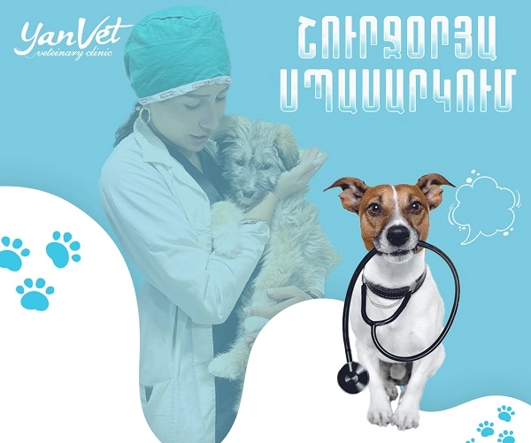 Ветеринарная клиника в Ереване Yanvet  в  Ереване