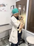 Миниатюра 5
