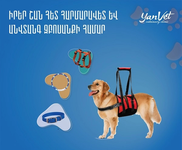 Большое фото 6