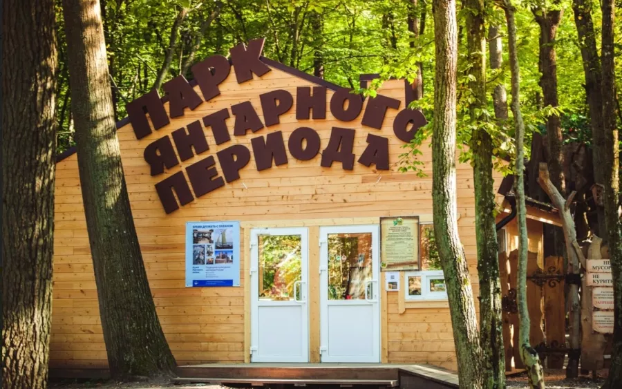 Парк янтарного периода в Калининграде: Детские площадки, Канатные дороги, Аренда беседок с мангалом, Тёплая беседка, Аттракционы, Парки динозавров, Приготовление пиццы и кулинарные мастер-классы, Катание на лошади, Батуты, Аквагрим, Верёвочный парк ,